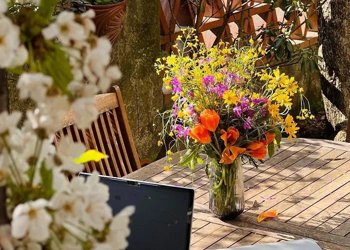 Enzo's House Affittacamere *