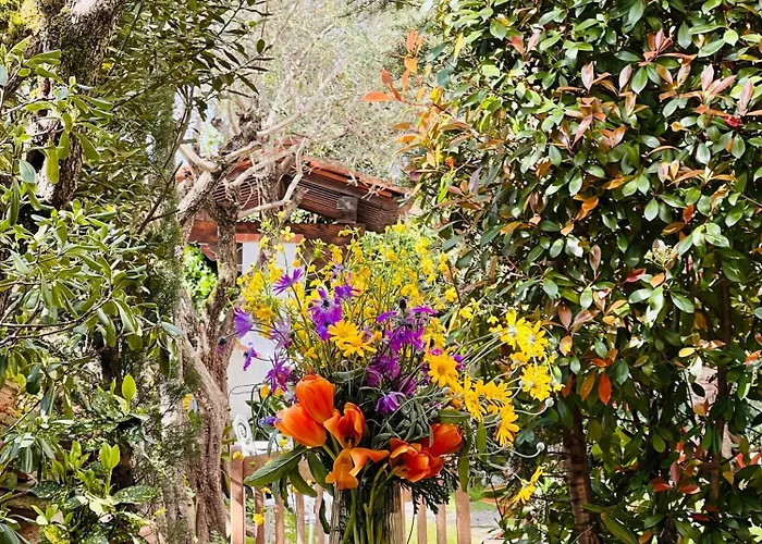 Enzo's House Affittacamere Lucca